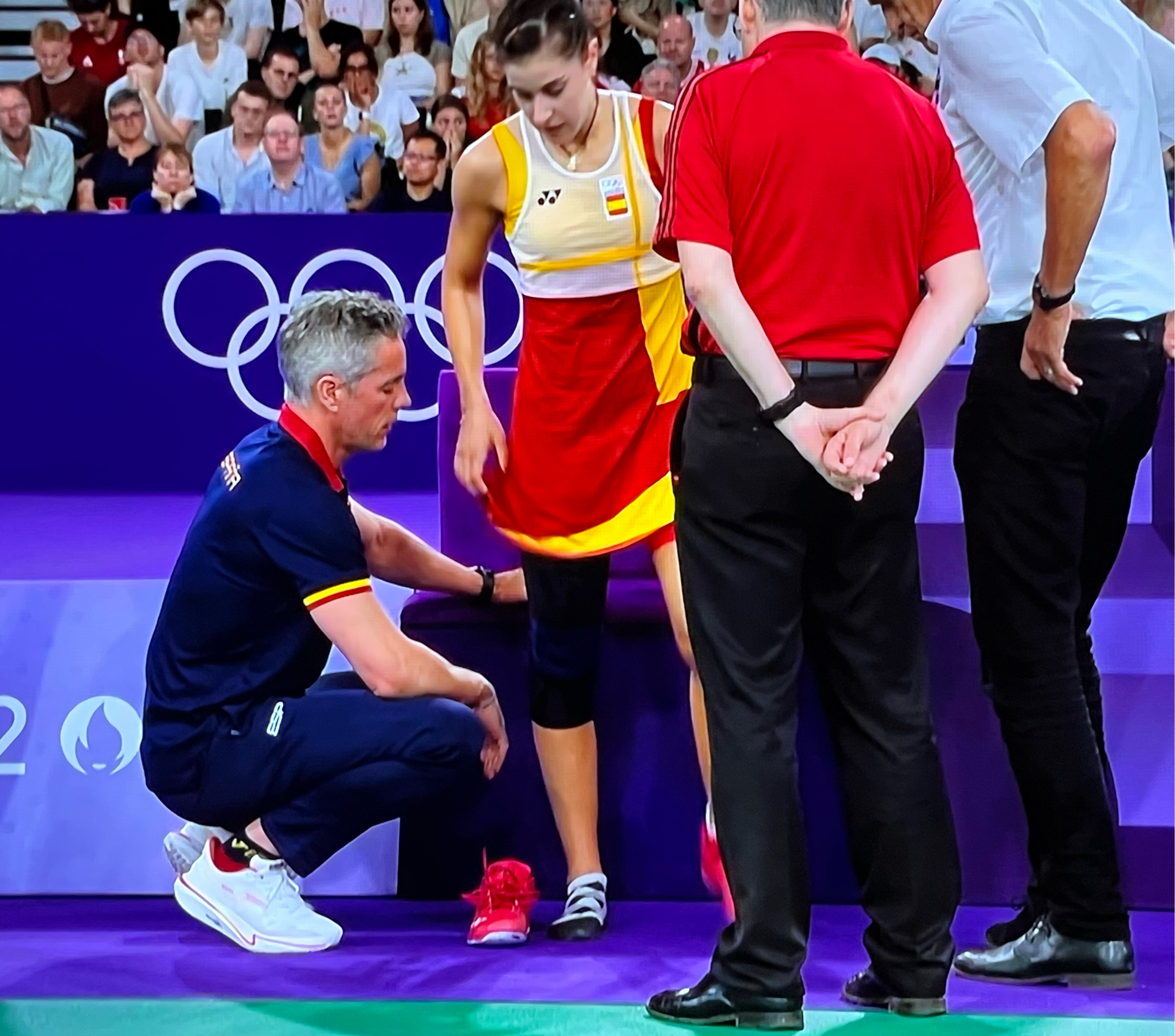 法国队轻取日本队,马琳高光表现 法国队轻取日本队,马琳高光表现