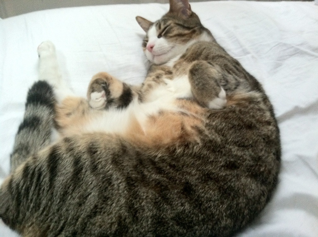 连续施压尤文力克利物浦，孔德关键一传一射定乾坤