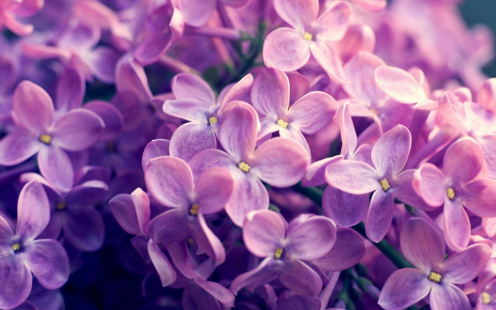 斯通斯中场魔术秀!葡萄牙3-0粉碎塞维利亚,曼城铁腰成关键先生