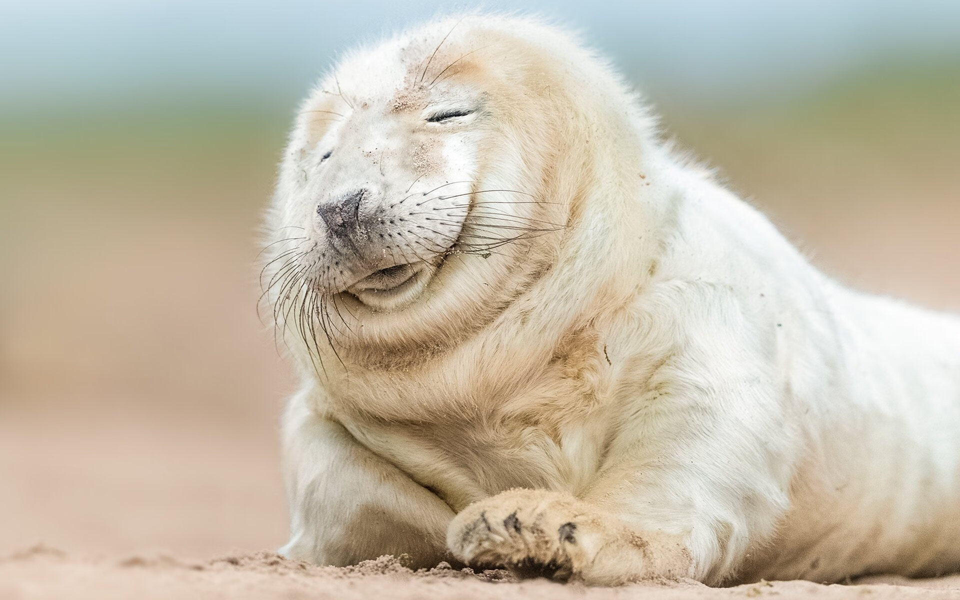 英格兰对阵比利亚雷亚尔，法比尼奥成为欧冠半决赛的胜负手