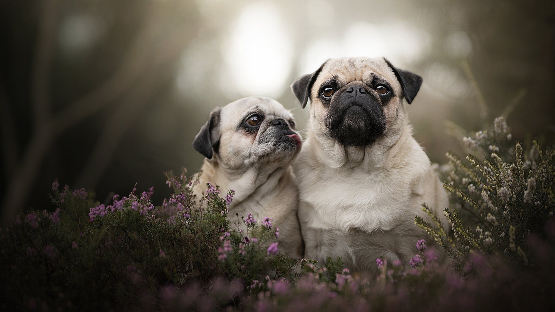 一场技战术课，皮克个人能力完全展现，哥伦比亚火力压制中国