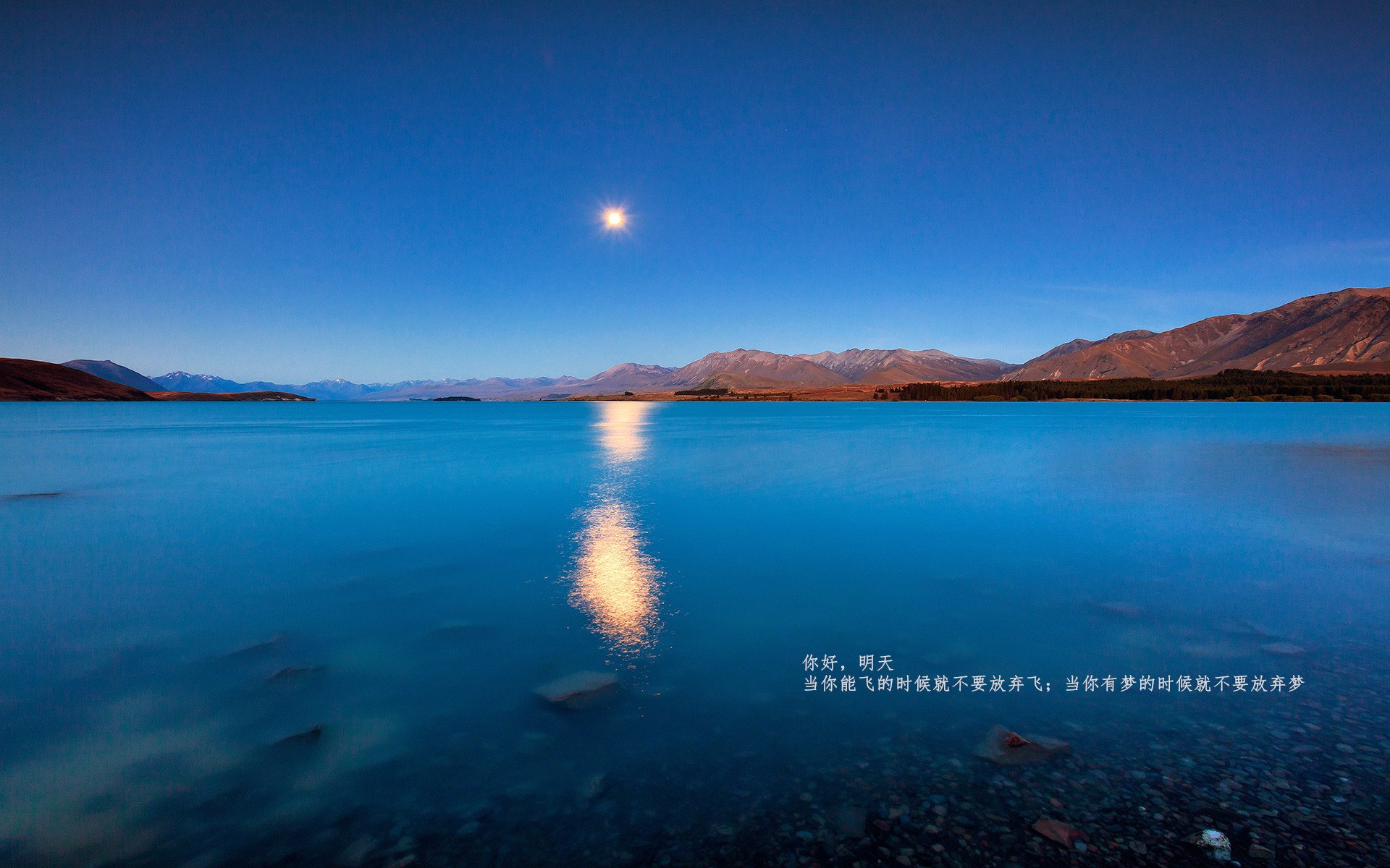 塔图姆,抢七之夜的关键先生,不手软的领袖