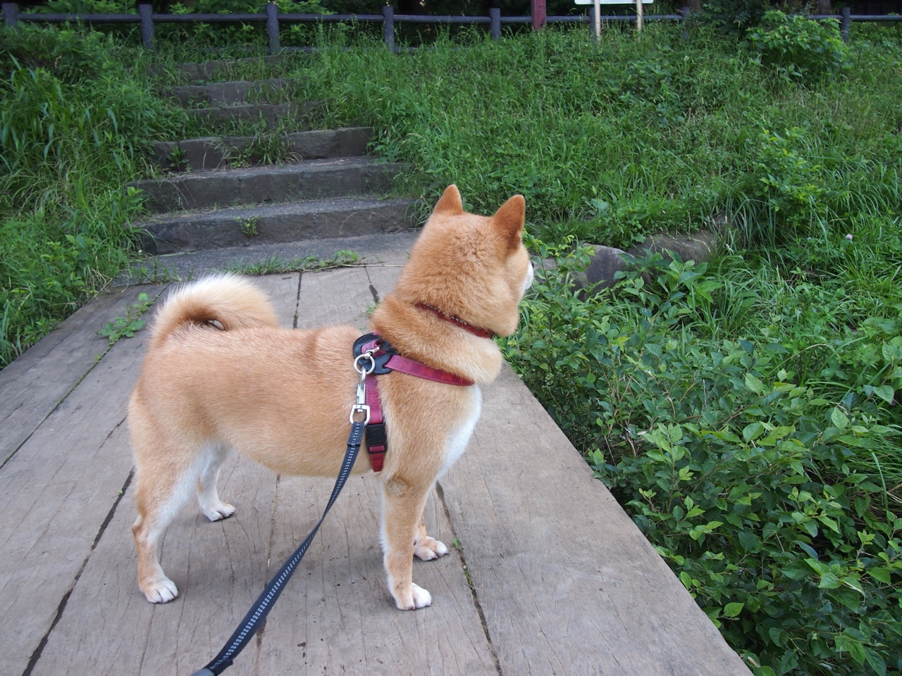 福登一击定乾坤，贝蒂斯三球破坚冰