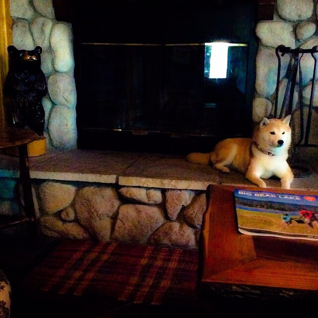 稳定如钟的孤星与奔腾如江的星河,当格列兹曼遇见勒沃库森