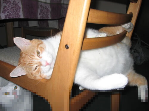 战术的胜利与英雄的诞生，当团队铁壁遭遇个人锋芒