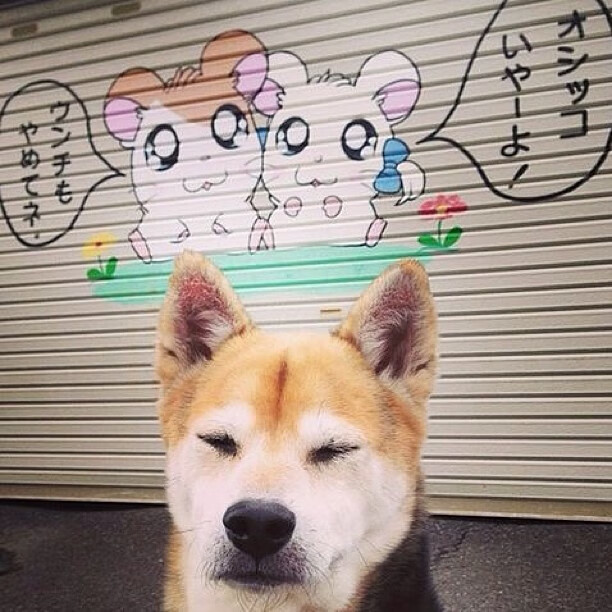 欧冠半决赛之夜，克莱舞台越大越强