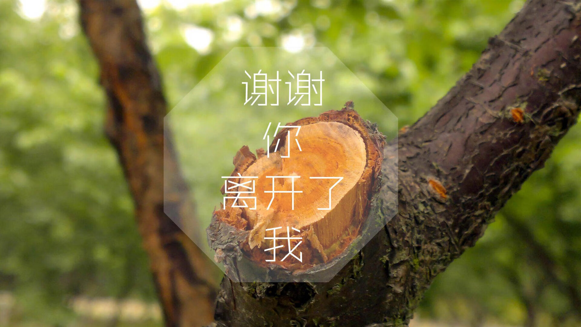 黑马奔腾，强强对话，2026世界杯摩洛哥大胜芬兰，托纳利闪耀全场