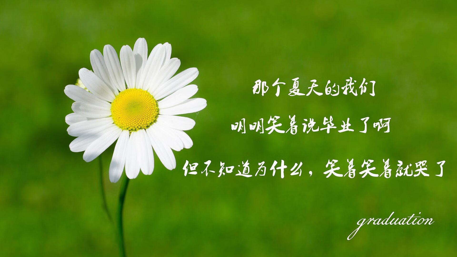 开云体育在线-橙衣风暴席卷布加勒斯特，荷兰压制罗马尼亚，萨卡领军奏凯